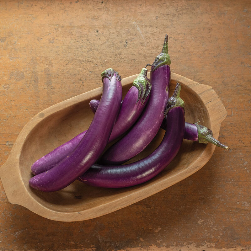 Asian eggplant