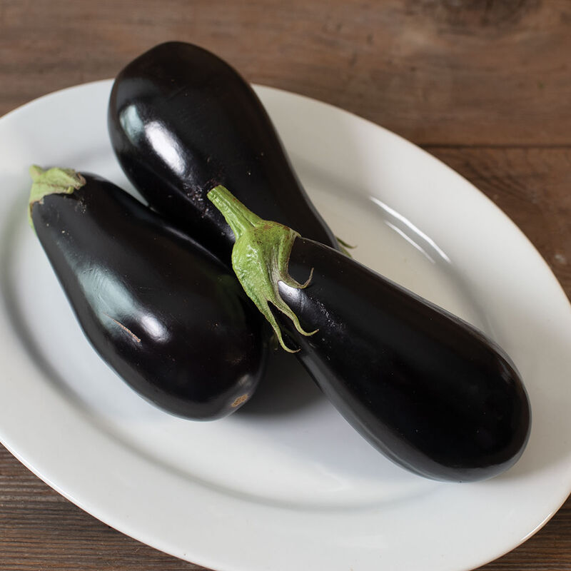 Italian eggplant