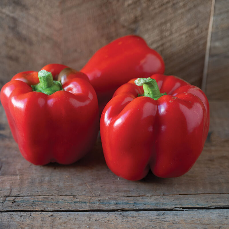 Sweet Bell pepper