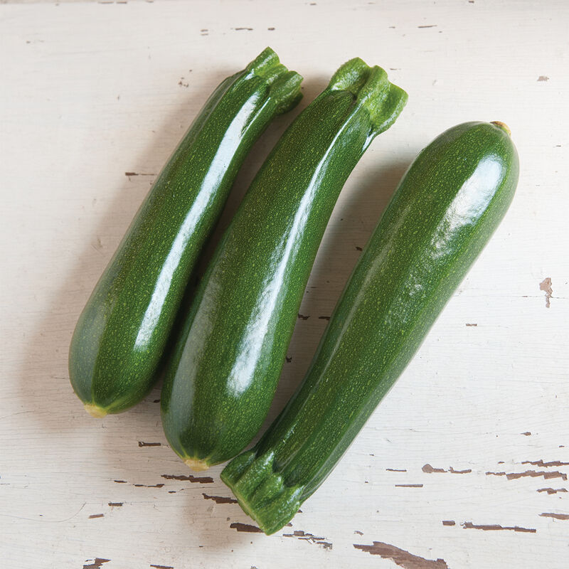 Zucchini