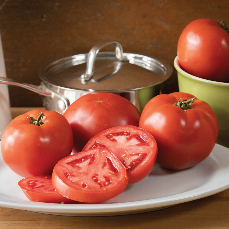 Big Beef tomato