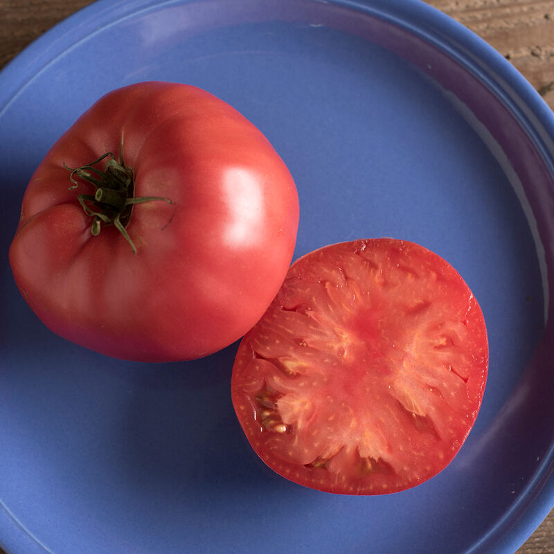 Brandywine tomato