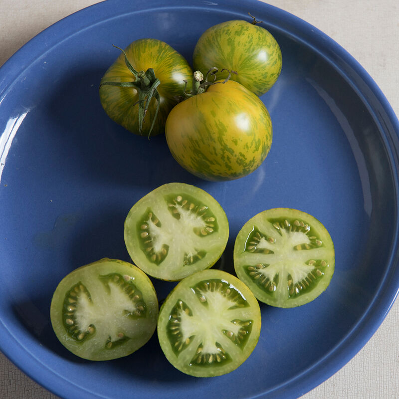 Green Zebra tomato