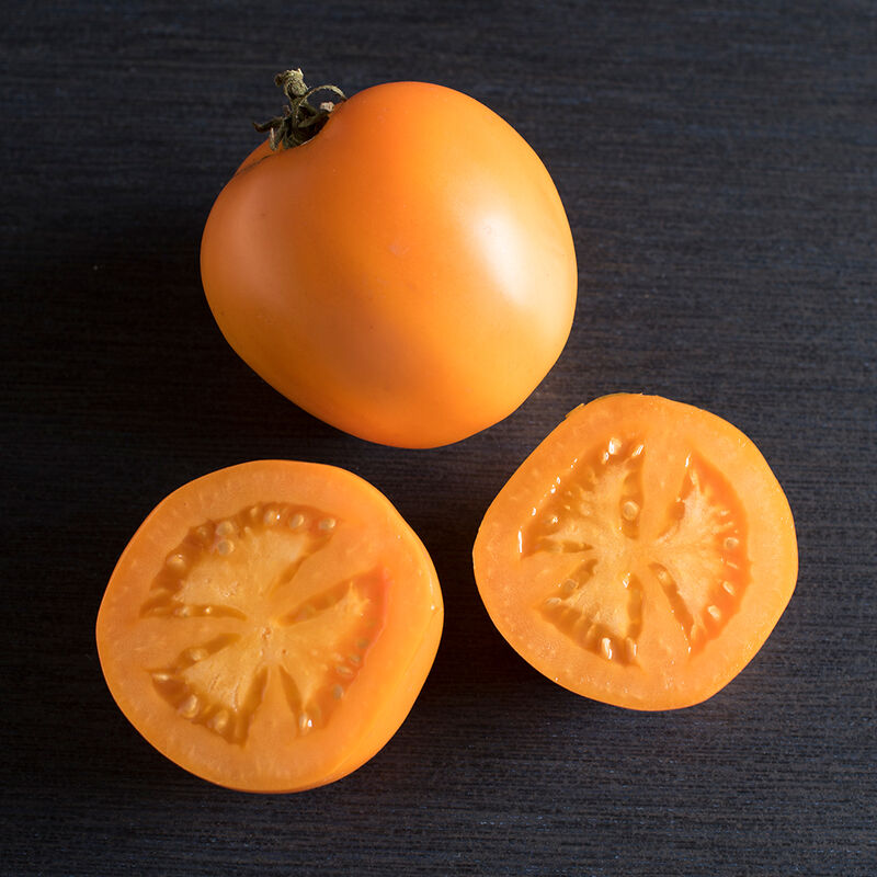 Valencia tomato